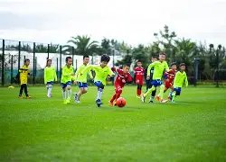 库里与约内,斯库三分赛,取消,8波足球即时比分,8波比分,8波体育比分网,比分直播