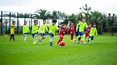 库里与约内斯库三分赛取消，双方复赛意愿低落